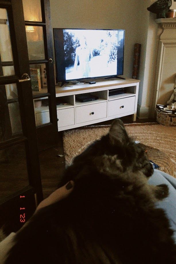 january 1, 2023: a long-haired tabby cat cuddles jude while watching an episode of The Twilight Zone.